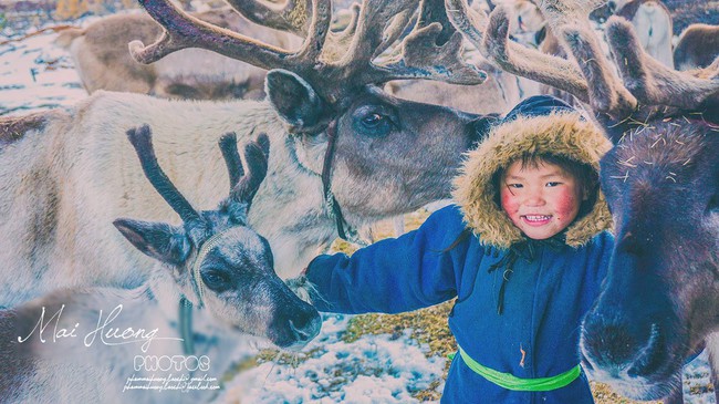Một bộ ảnh không thể đẹp và cảm xúc hơn về chuyến hành trình tới bộ lạc tuần lộc cuối cùng ở Mông Cổ! - Ảnh 4.