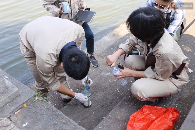 Ngày 3/10: Cá chết nổi ngày càng nhiều ở hồ Tây; đang tiếp tục bơm oxy, sục khí - Ảnh 11.