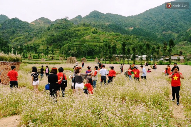 Dòng người lũ lượt kéo về thị trấn Đồng Văn để chụp ảnh với hoa tam giác mạch - Ảnh 1.