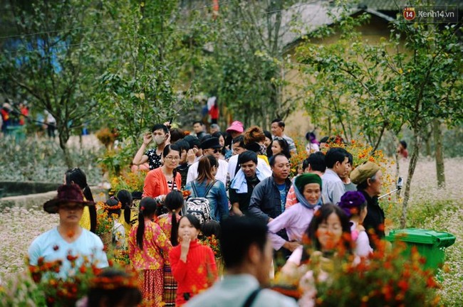 D&ograve;ng người lũ lượt k&eacute;o về thị trấn Đồng Văn để chụp ảnh với hoa tam gi&aacute;c mạch - Ảnh 9.