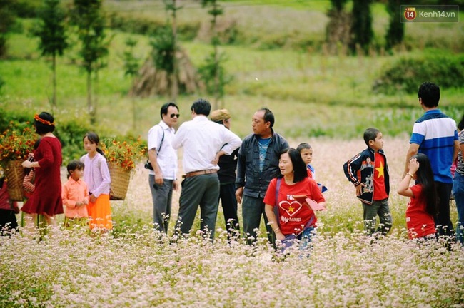 Dòng người lũ lượt kéo về thị trấn Đồng Văn để chụp ảnh với hoa tam giác mạch - Ảnh 4.