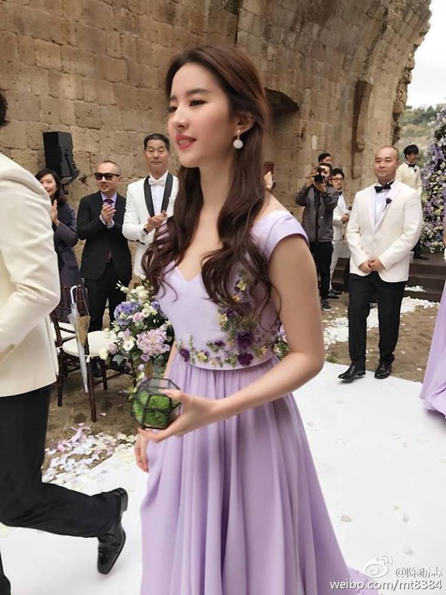 Bị phản đối chuyện t&igrave;nh cảm, diva Trung Quốc quyết kh&ocirc;ng mời mẹ tới đ&aacute;m cưới - Ảnh 4.
