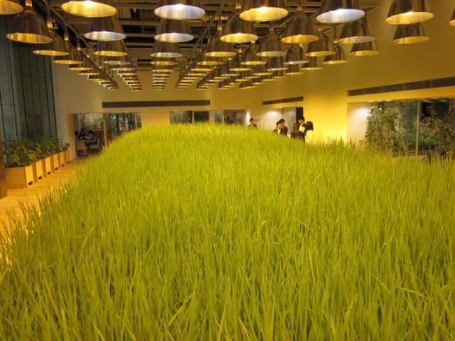Mãn nhãn với cảnh tượng đồng lúa, vườn rau ngay giữa văn phòng 9 tầng ở trung tâm Tokyo - Ảnh 12.