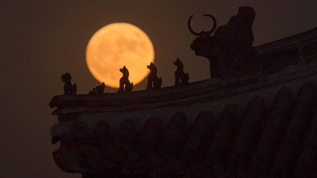 Người dân Việt Nam và thế giới hào hứng khoe ảnh siêu trăng đẹp nhất 70 năm qua - Ảnh 15.