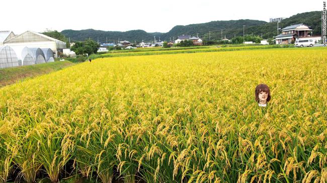Tạm qu&ecirc;n b&ugrave; nh&igrave;n rơm đi, ma-nơ-canh kinh dị mới l&agrave; b&aacute; chủ mới của những c&aacute;nh đồng ở Nhật Bản - Ảnh 8.