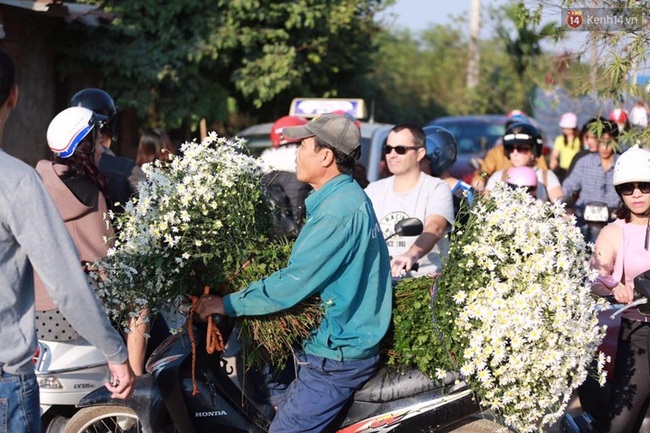 Biển người pose ảnh với đồng cúc họa mi ở Hà Nội ngày cuối tuần - Ảnh 10.