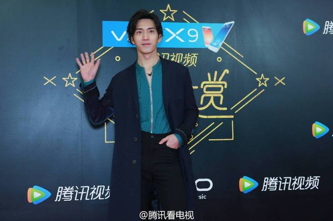 Triệu Lệ Dĩnh gầy đét, Hoàng Tử Thao khoe tha thu ở mắt tại thảm đỏ Star Awards - Ảnh 9.