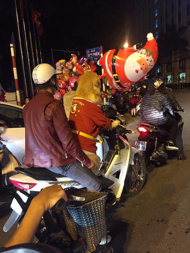 Noel không có gấu thì đây chính là người yêu tuyệt vời nhất - Ảnh 1.