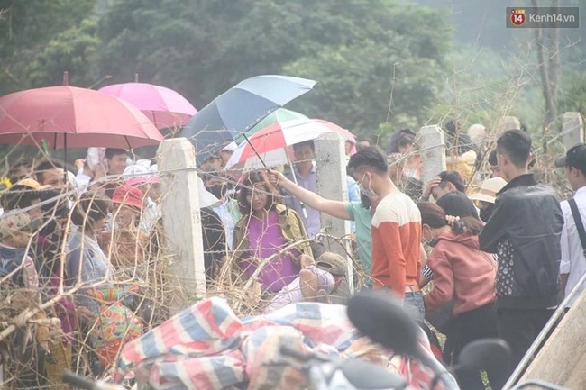 Hàng trăm người phá rào dây thép gai để vào cánh đồng hoa hướng dương ở Nghệ An chụp ảnh - Ảnh 3.