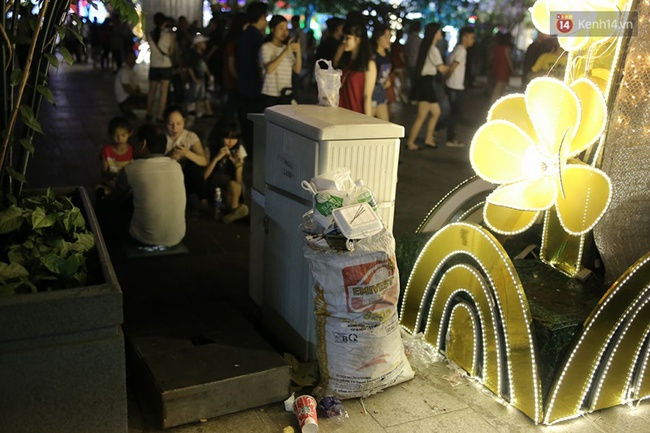 Clip: Người dân vô tư xả rác, giẫm lên bãi cỏ ở trung tâm Sài Gòn vào đêm Giáng sinh - Ảnh 5.