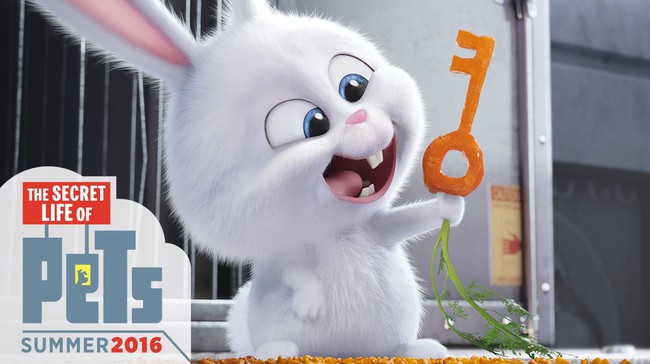 Phim Con Thỏ: Hành Trình Kỳ Diệu Của Thỏ Bảy Màu