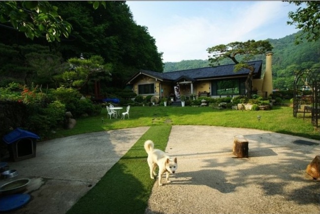 Căn nhà bố mẹ của Song Joong Ki sau Hậu duệ mặt trời cũng trở thành báu vật du lịch - Ảnh 7.