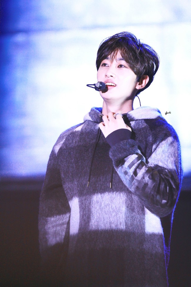 Điểm danh c&aacute;c idol Kpop c&aacute;i g&igrave; cũng giỏi - Ảnh 21.