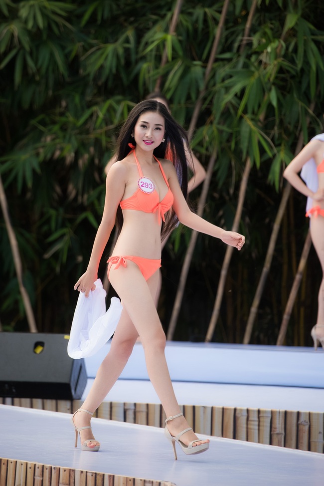 Top 33 Hoa hậu Việt Nam khoe dáng nóng bỏng trong bikini - Ảnh 16.