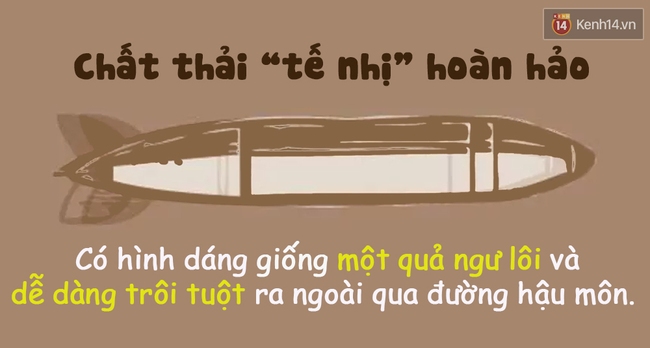 Xem hình dáng chất thải tế nhị biết ngay cơ thể bạn đang như thế nào! - Ảnh 2.