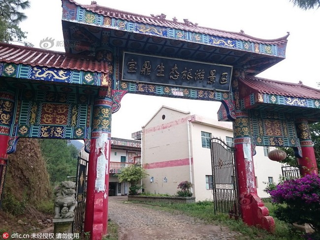 Đắng l&ograve;ng người đ&agrave;n &ocirc;ng dụ khỉ về l&agrave;ng l&agrave;m xiếc, ngờ đ&acirc;u bị ch&uacute;ng chiếm n&uacute;i xưng Vương - Ảnh 2.