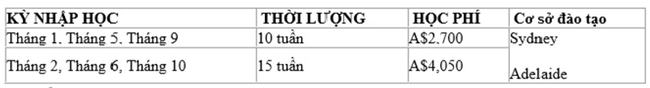 Cập nhật ch&iacute;nh s&aacute;ch Visa ưu ti&ecirc;n c&ugrave;ng học bổng Torrens University Australia 2016 - Ảnh 4.