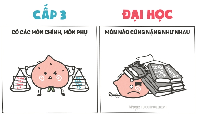 Những điều chỉ thấy ở cấp 3 mà không thể tìm ra ở Đại học - Ảnh 2.