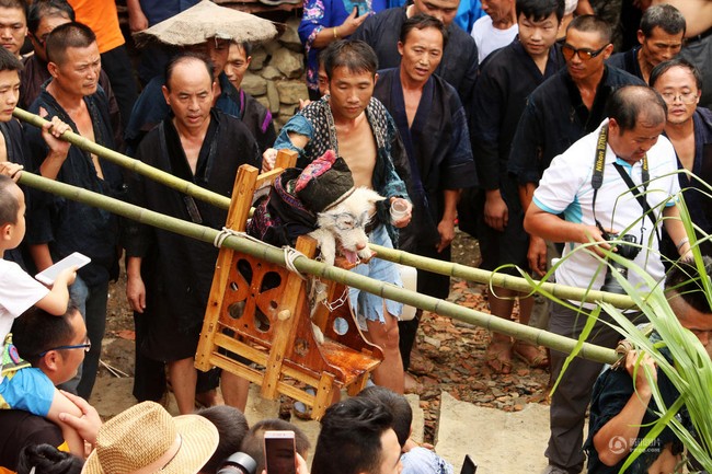 Ngoài lễ hội thịt chó gây phẫn nộ, Trung Quốc còn có lễ hội rước chó để thể hiện lòng tôn trọng loài vật này - Ảnh 2.