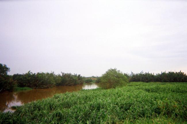 Khu đ&ocirc; thị Thủ Thi&ecirc;m - Di&ecirc;̣n mạo mới tươi trẻ của S&agrave;i G&ograve;n đang d&acirc;̀n rõ dáng - Ảnh 1.