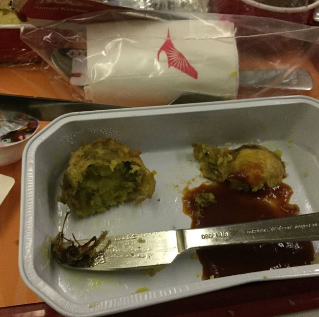 Ăn đến miếng cuối cùng mới kinh hoàng phát hiện ra gián chết trong suất ăn trên máy bay - Ảnh 2.