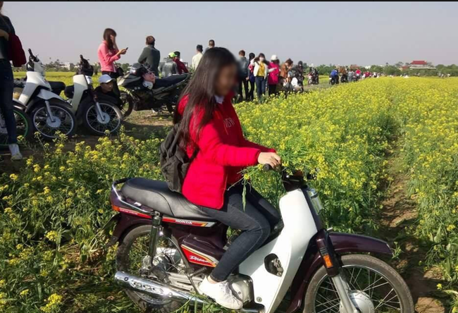 Thiếu nữ hồn nhi&ecirc;n phi xe m&aacute;y v&agrave;o c&agrave;y xới đồng hoa cải - Ảnh 1.
