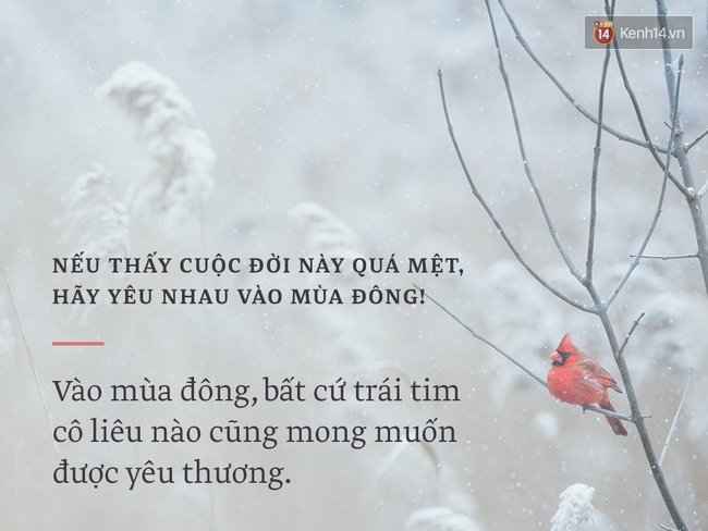 Nếu thấy cuộc đời này quá mệt, hãy yêu nhau vào mùa đông! - Ảnh 3.