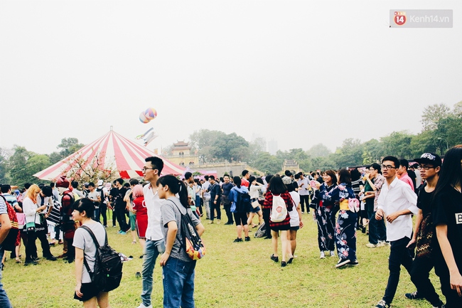 Lễ hội hoa anh đào tại Hà Nội: Cây anh đào héo rũ khiến nhiều người chưng hửng đi về! - Ảnh 2.