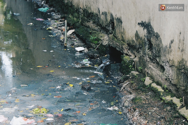 H&agrave;ng trăm hộ d&acirc;n H&agrave; Nội chịu cảnh sống chung với bể phốt lộ thi&ecirc;n d&agrave;i hơn 3km - Ảnh 5.