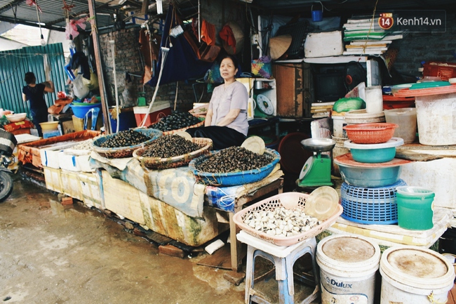 Những dãy hàng bán hải sản ở chợ Hà Nội hiu hắt ế dài, họ biết kêu ai? - Ảnh 4.