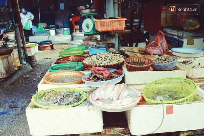 Những dãy hàng bán hải sản ở chợ Hà Nội hiu hắt ế dài, họ biết kêu ai? - Ảnh 8.