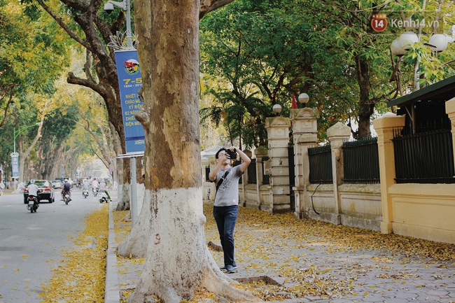 Người Hà Nội thích thú chụp ảnh với những con đường trải thảm lá vàng - Ảnh 7.