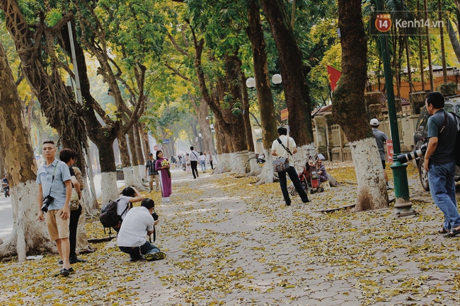 Người Hà Nội thích thú chụp ảnh với những con đường trải thảm lá vàng - Ảnh 5.
