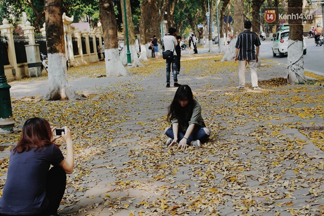 Người Hà Nội thích thú chụp ảnh với những con đường trải thảm lá vàng - Ảnh 10.