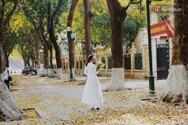 Người Hà Nội thích thú chụp ảnh với những con đường trải thảm lá vàng - Ảnh 8.