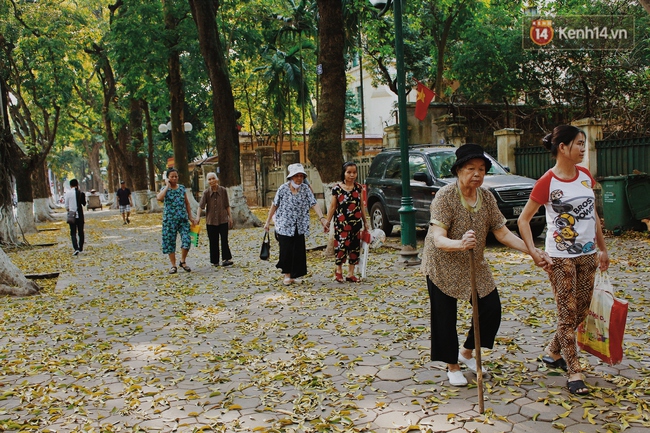 Người Hà Nội thích thú chụp ảnh với những con đường trải thảm lá vàng - Ảnh 4.