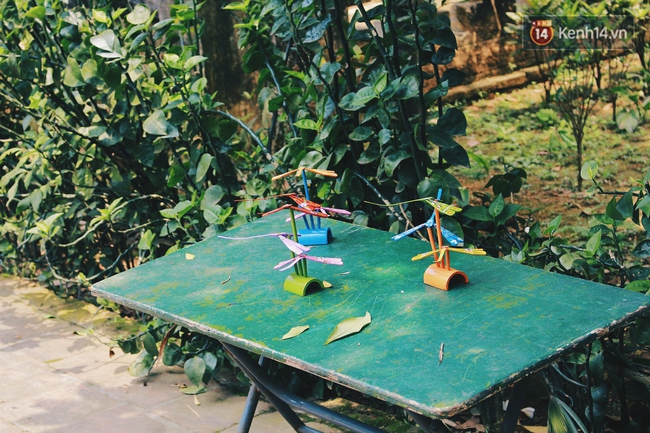 Vương quốc chuồn chuồn tre ở Hà Nội - Nơi đánh thức những ký ức tuổi thơ - Ảnh 3.