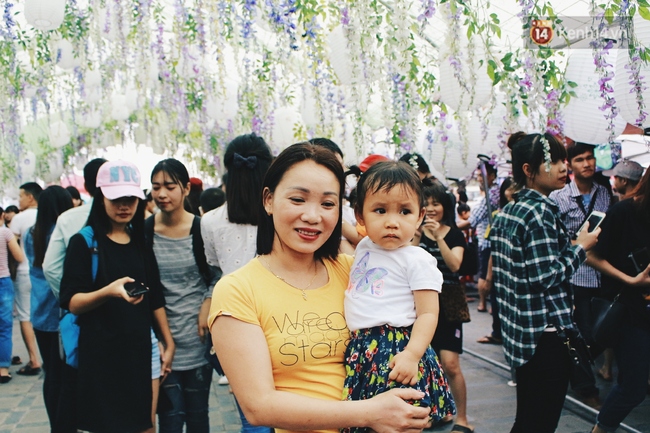 Lễ hội hoa tử đằng ở Hà Nội: Nỗi thất vọng khi thực tế khác xa hình ảnh quảng cáo - Ảnh 21.