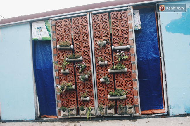 Gặp cậu SV Báo chí - tác giả của 4 vườn hoa mọc lên từ bãi rác ở Hà Nội - Ảnh 12.