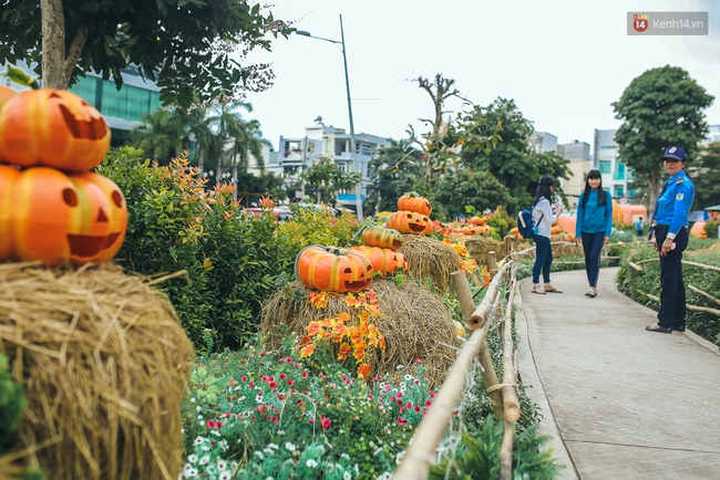 Vườn bí ngô ở Bình Tân: Điểm chụp ảnh hot nhất Halloween năm nay cho giới trẻ Sài Gòn - Ảnh 2.
