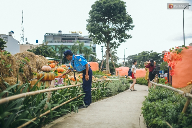 Vườn bí ngô ở Bình Tân: Điểm chụp ảnh hot nhất Halloween năm nay cho giới trẻ Sài Gòn - Ảnh 10.