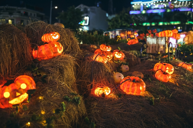 Vườn bí ngô ở Bình Tân: Điểm chụp ảnh hot nhất Halloween năm nay cho giới trẻ Sài Gòn - Ảnh 17.