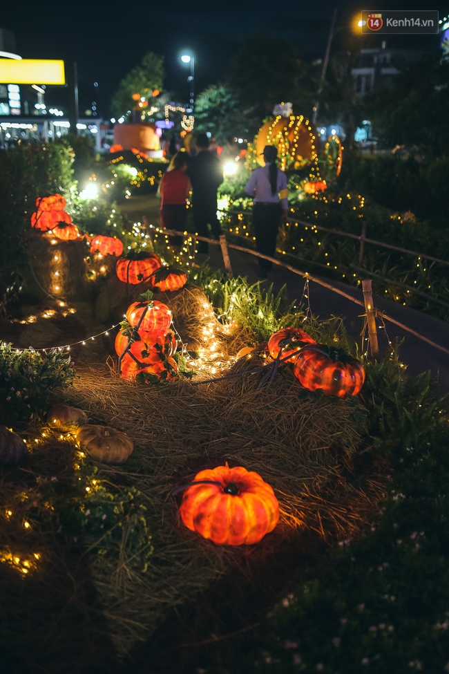 Vườn bí ngô ở Bình Tân: Điểm chụp ảnh hot nhất Halloween năm nay cho giới trẻ Sài Gòn - Ảnh 18.