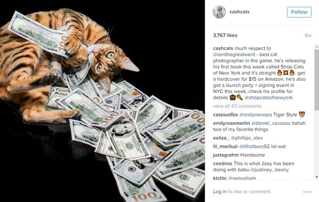 Đang buồn ch&aacute;n m&agrave; xem những t&agrave;i khoản Instagram n&agrave;y th&igrave; bạn sẽ khỏi bệnh ngay - Ảnh 12.