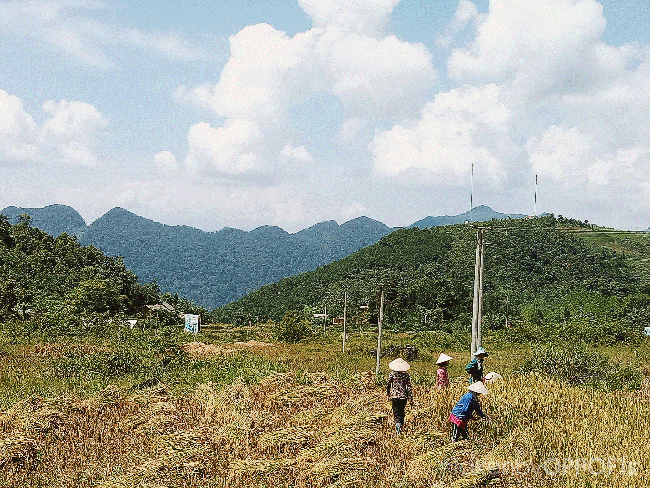 Văn h&oacute;a c&aacute;c địa phương Việt Nam thật đẹp qua g&oacute;c nh&igrave;n của những người trẻ đam m&ecirc; du lịch! - Ảnh 24.
