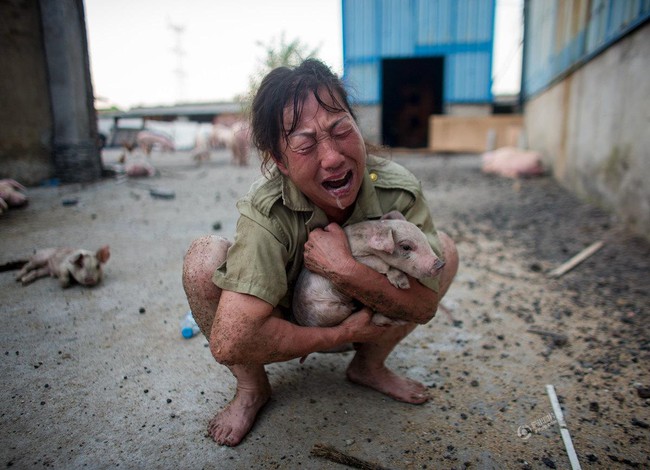 150 người chết vì mưa rơi, người dân Trung Quốc khóc nấc vì tán gia bại sản - Ảnh 23.