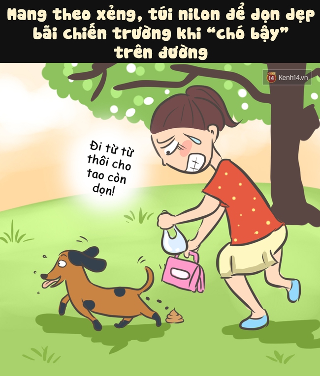 Muốn đưa chó đi dạo nơi công cộng, bạn đừng quên thực hiện những điều này! - Ảnh 2.