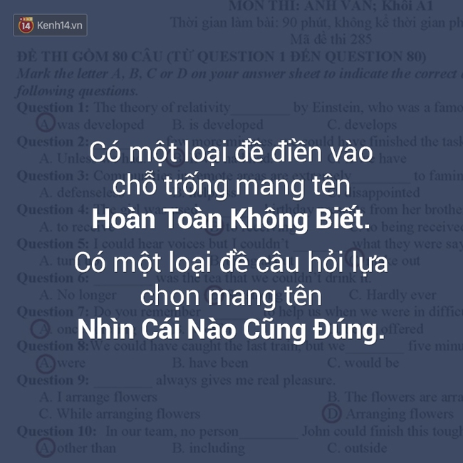 Ai cũng đ&atilde; từng c&oacute; l&uacute;c dở kh&oacute;c dở cười với thi cử như thế n&agrave;y! - Ảnh 2.