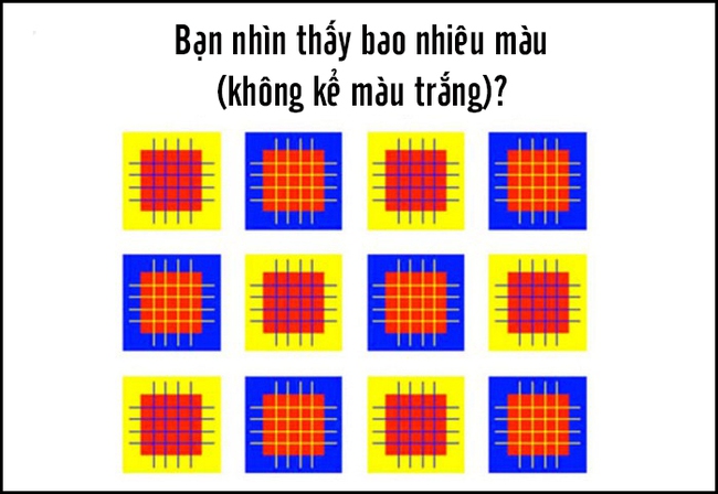 Bạn nhìn thấy bao nhiêu màu trong bức hình này? - Ảnh 1.