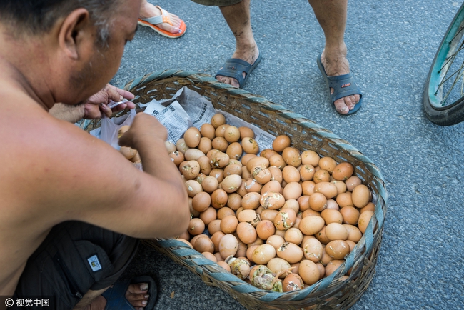 Nắng n&oacute;ng kinh ho&agrave;ng, trứng g&agrave; nở giữa đường c&aacute;i 50 độ C - Ảnh 2.